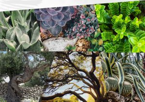 The Garden Studio mood collage