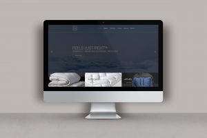 Website design for SilkFX